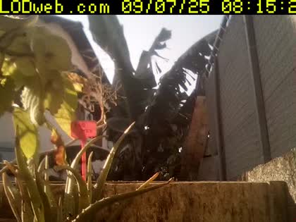 2025-09-07