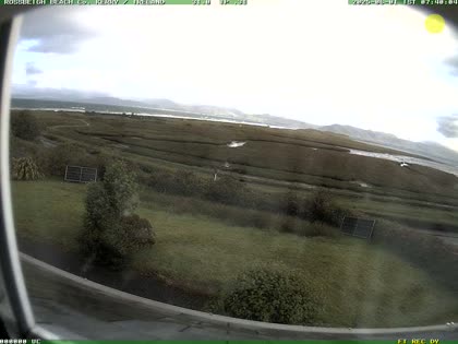 2025-06-01