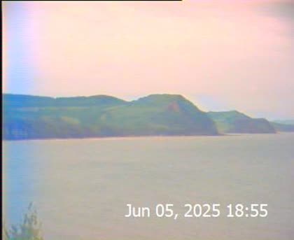 2025-06-06