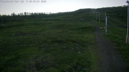 2025-07-05