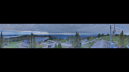 2026-06-06