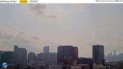 2026-08-16