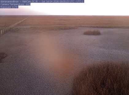 2026-07-04