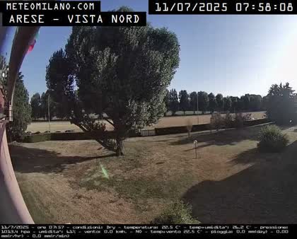 2025-07-11