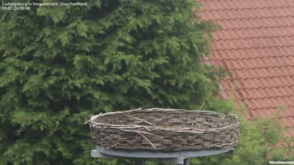2026-07-09