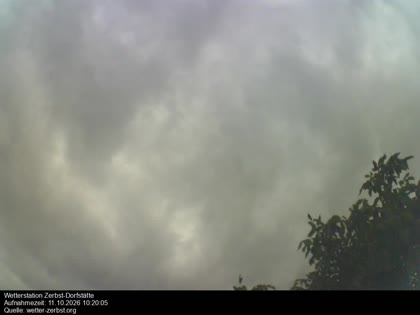 2026-10-11
