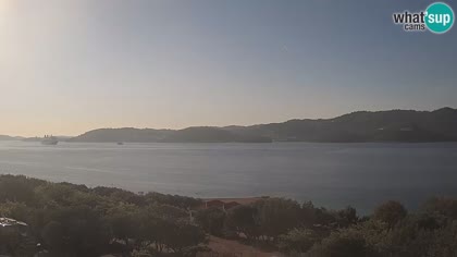 2026-10-05