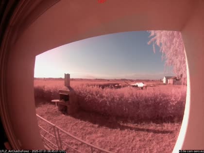 2025-07-31