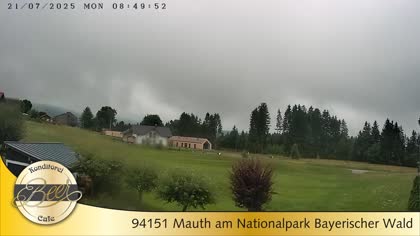 2025-07-21