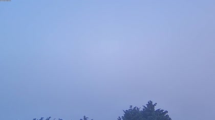 2025-07-19