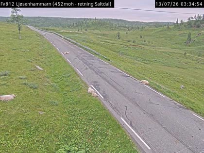 2026-07-13