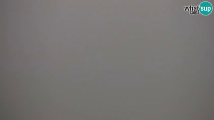 2026-10-10