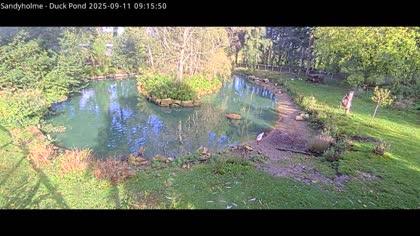 2025-09-11
