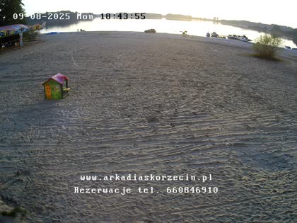 2025-09-08
