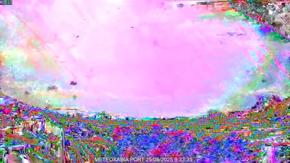 2025-08-25