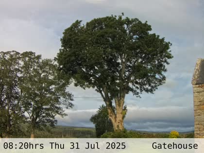 2025-07-31