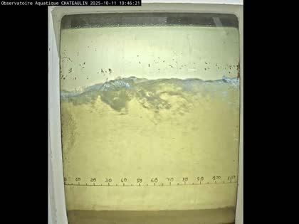 2025-10-11