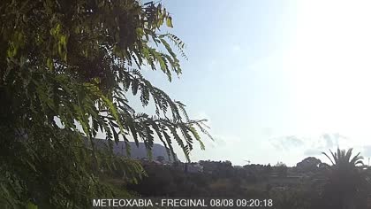 2025-08-08