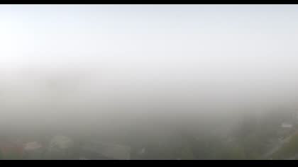 2025-10-08