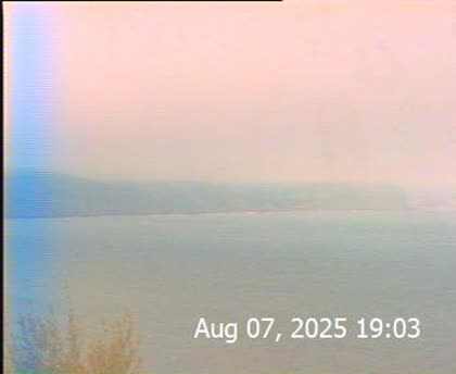 2025-08-08