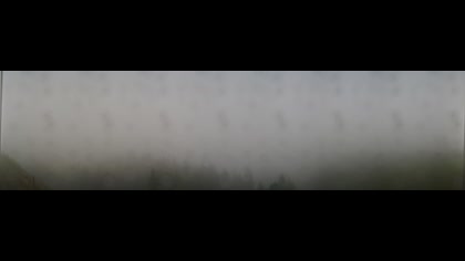 2025-07-26