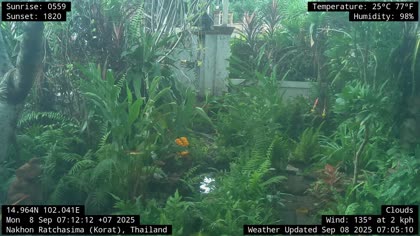 2025-09-08