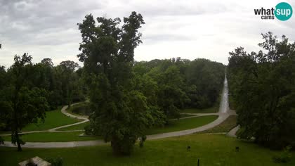 2026-06-03