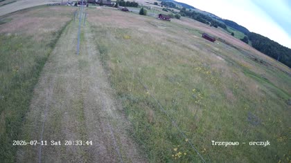 2026-07-11