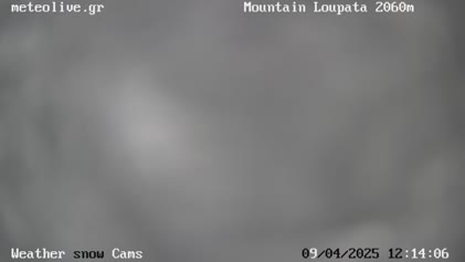 2025-04-09
