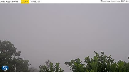 2026-08-12