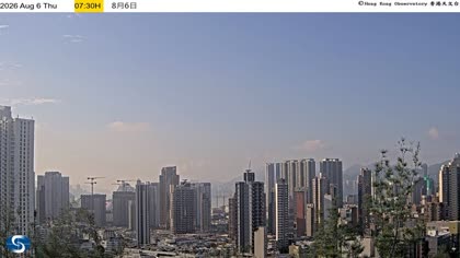 2026-08-06