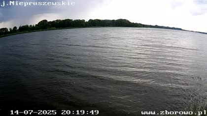 2025-07-14