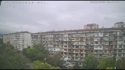2025-10-08