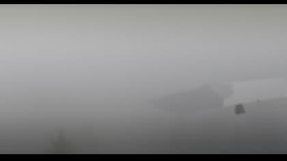 2025-07-30