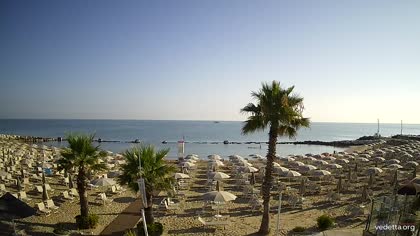 2026-07-29