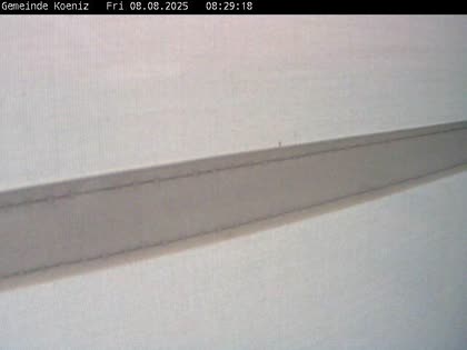 2025-08-08
