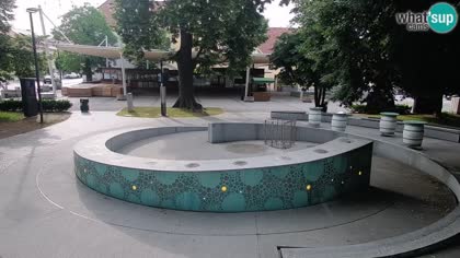 2026-06-09
