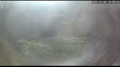 2025-10-08