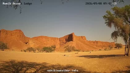 2026-09-08