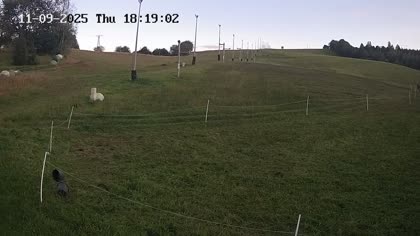 2025-09-11