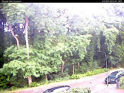 2025-06-08