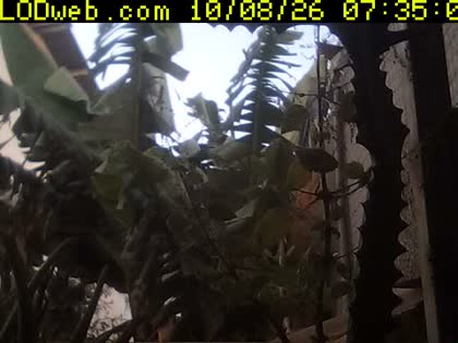 2026-10-08