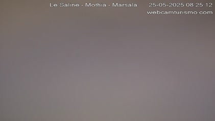 2025-05-25