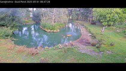 2025-09-01