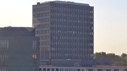 2025-08-11