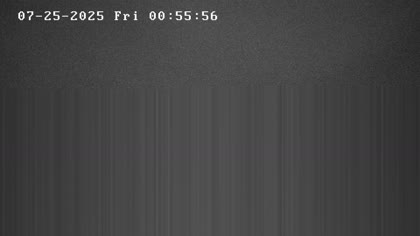 2025-07-25