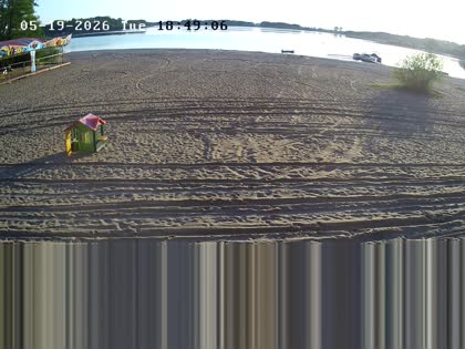 2026-05-19