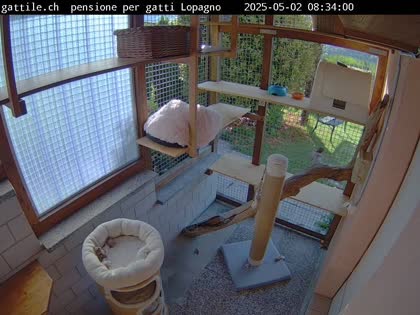 2025-05-02