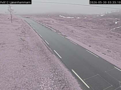 2026-05-30
