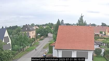 2025-07-31